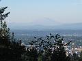 Portland 59